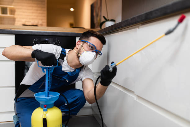 Best Residential Pest Control  in Rancho Tehama Reserve, CA