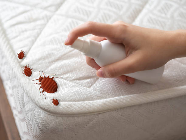 Best Bed Bug Extermination  in Rancho Tehama Reserve, CA
