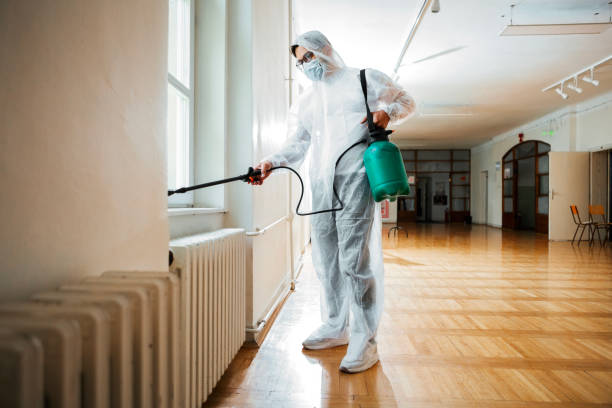 Flea Control Services in Rancho Tehama Reserve, CA