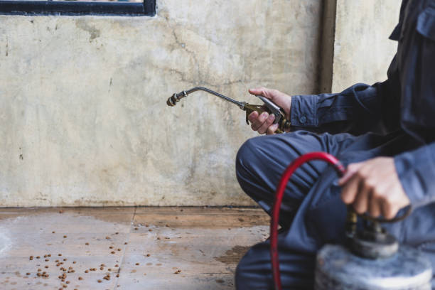 Best Mosquito Control Services  in Rancho Tehama Reserve, CA